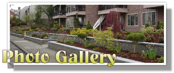 Photo Gallery
